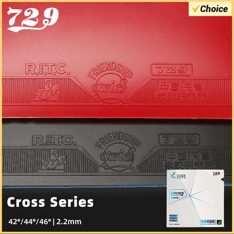 Table Tennis Training - Original Friendship 729 Cross Series Table