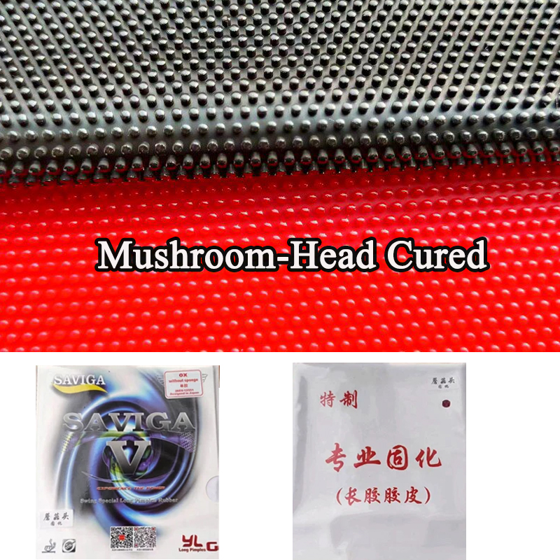 Shiny Version Mushroom-Head Cu - Table Tennis Venue ulasan dan harga