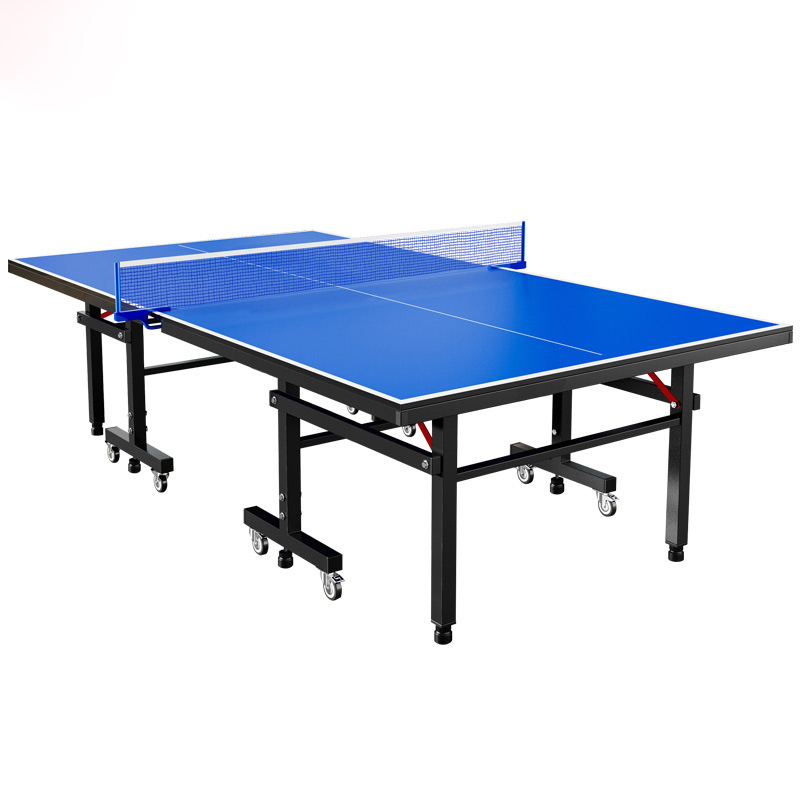 Professional Table Tennis Tabl - Table Tennis Training ulasan dan harga