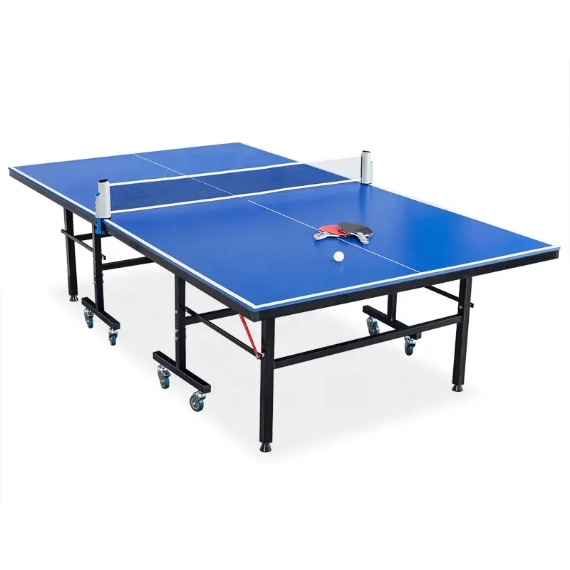 Professional Table Tennis Tabl - Table Tennis Training ulasan dan harga