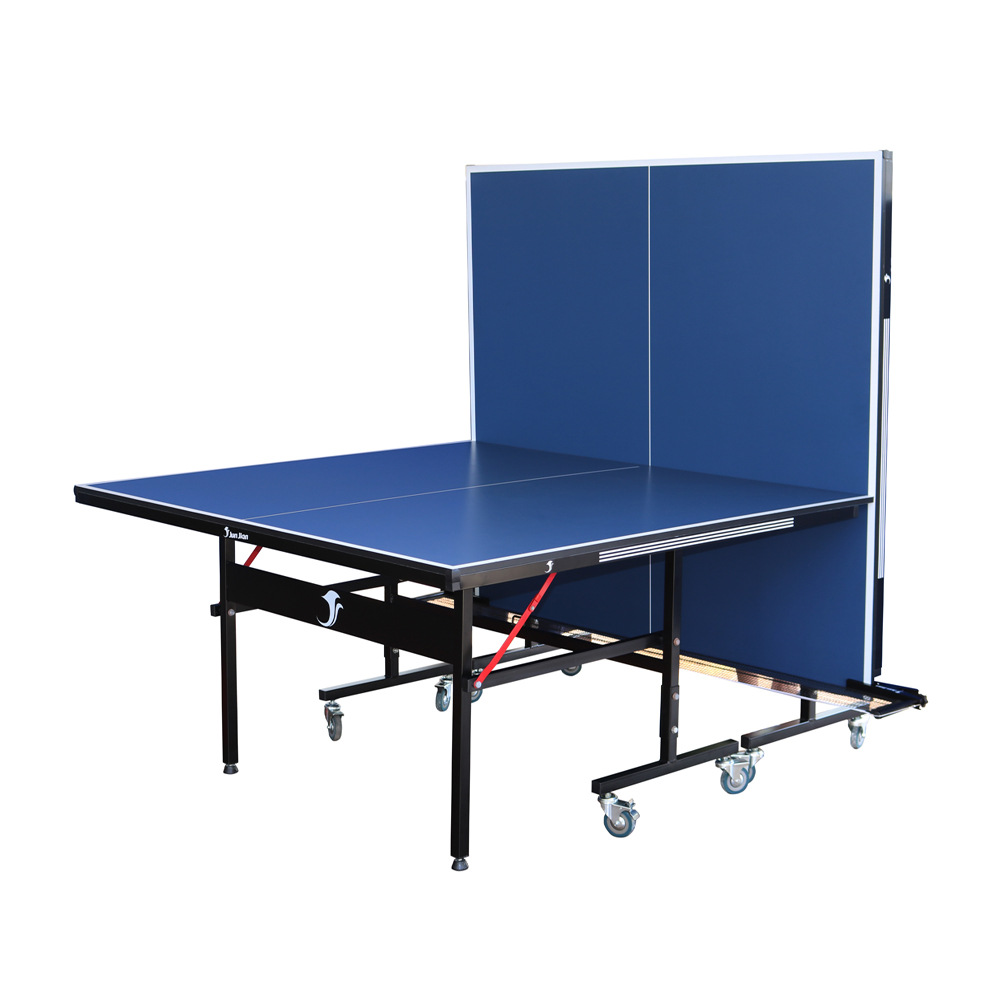 Professional Table Tennis Tabl - Table Tennis Training ulasan dan harga