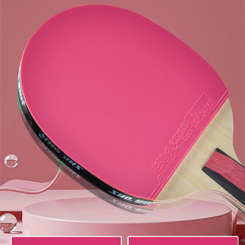 DHS 6 Star Table Tennis Racket - Table Tennis World ulasan dan harga